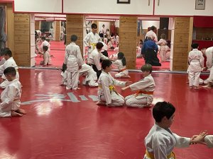 Enfants pratiquant l'aikido