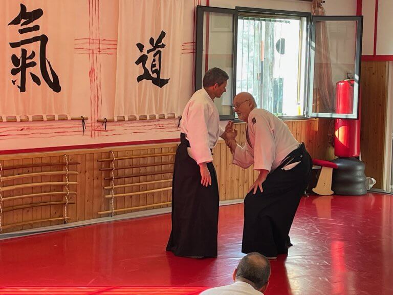 Jan Tenshin nage Haut