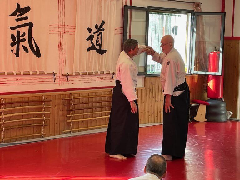 Jan Tenshin nage Haut