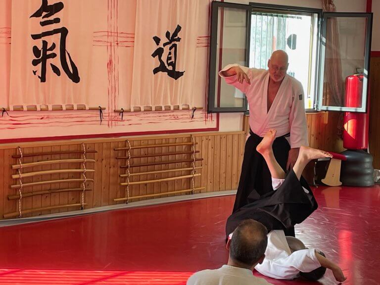 Jan Tenshin nage Haut